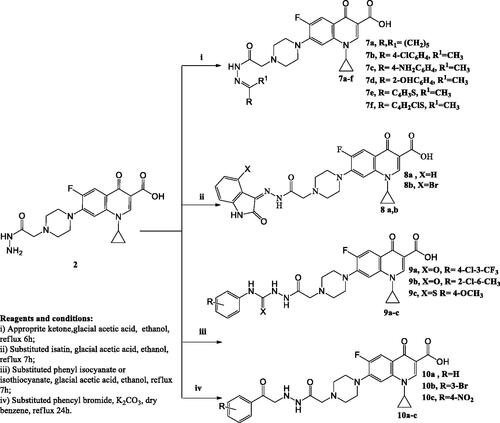 Scheme 2. The synthetic path and reagents for the preparation of the target compounds 7–10.