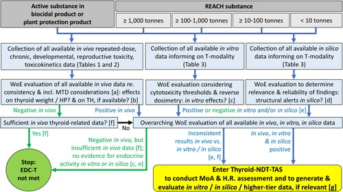 Figure 2. Tier 0: Evaluation of all available data to decide on the need to enter the ECETOC and CLE Thyroid-NDT-TAS.EDC-T: endocrine disruptor criteria for thyroid modality; HP: histopathology; H.R.: human relevance; MoA: mode-of-action; MTD: maximum tolerated dose; T-modality: thyroid modality for endocrine disruption; TH: thyroid hormone; WoE: weight-of-evidence.Colour legend: dark grey boxes: types of substances; light grey boxes, from right to left: production volumes (tonnage ranges) as per REACH Annexes VII-X, respectively; light blue boxes: elements of the assessment; blue arrows: continuation of evaluation; green arrows and text: negative findings; green circle: conclusion from Tier 0 evaluation that the EDC-T are not met. Yellow shape: conclusion from Tier 0 to enter the Thyroid-NDT-TAS.[a] See Section 2.1.2.2 for elements to consider when applying expert judgement to determine whether the maximum tolerated dose was reached or exceeded.[b] See Section 2.1.2.3 for elements to consider during the WoE evaluation of the in vivo thyroid-related findings.[c] See Section 2.1.3 for elements to consider during the WoE evaluation of in vitro mechanistic data and to conclude that there is no evidence for in vitro activity.[d] See Section 2.1.4 for elements to consider during the WoE evaluation of in silico data and to conclude that there is no evidence for in silico structural alerts.[e] In vitro negative includes in vitro effects that only occurred at dose levels exceeding the in vivo top doses (as determined via in vitro-to-in vivo extrapolations).[f] See Section 2.1.5 for aspects to consider in determining whether the in vivo database is sufficient. Inconsistent results in vivo vs. in vitro/in silico includes the scenarios “in vivo negative (in vivo database insufficient) combined with in vitro/in silico positive” and “in vivo positive combined with in vitro/in silico negative.”[g] Respect information requirements for REACH substances depending on tonnage band and applicability of the European Commission (Citation2017, Citation2018) Endocrine Disruptor Criteria and EFSA and ECHA (Citation2018) Endocrine Disruptor Guidance.