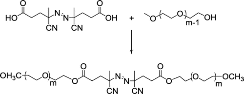 Scheme 2 Synthesis of poly(ethylene glycol) macroazoinitiator (Me-PEG-MI).