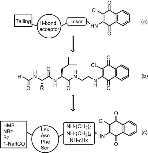 Figure 1. (a) Schematic structure of non-peptide inhibitors bearing the 2-cloronaphthoquinonic unit. (b) The general structure of dipeptide derivatives with a 2-chloronaphthoquinone group. (c) The generic structure of the new amino acid derivatives linked to the 2-chloronaphthoquinone group.