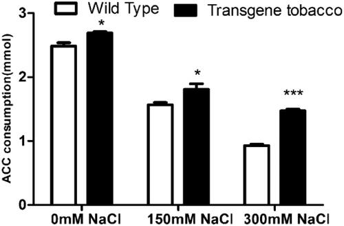 Figure 10. ACC consumption of transgenic and wild tobacco at different salt concentration.