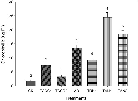 Figure 9. Comparative effectiveness of ACC-deaminase and/or nitrogen-fixing rhizobacteria on chlorophyll b content of tomato. Different letters (a–g) on bars indicate significant differences of mean values for chlorophyll content. Bars represent standard errors.CK, control; AB, Azotobacter