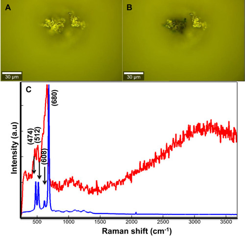 Figure 3 Optical images of agglomerated Co MNPs studied by Raman spectroscopy with a laser power of (A) 5mW and (B) 20mW, (C) comparison of the Raman pattern obtained from Co MNPs powder with 532nm laser excitation under low power 5mW indicated by blue spectrum (A) to higher laser power 20mW indicated by red spectrum (B).