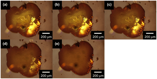 Figure 7. POM images of a CCPTO bulk sample under crossed nicol condition at (a) 220 °C, (b) 240 °C, (c) 260 °C, (d) 280 °C, and (e) 300 °C during the heating.