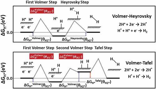 Figure 8. Schematic of Volmer-Heyrovsky and Volmer-Tafel pathways for HER process. Source [Citation84]: .