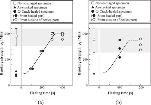 Figure 14. Time dependence of strength recovery obtained by (a) FEA and (b) experiment. The plots correspond to peak values of the bending stress-deflection relationships.