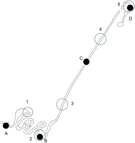 Figure 4. Electrofishing sites 1–5 and macroinvertebrate sites A–D.