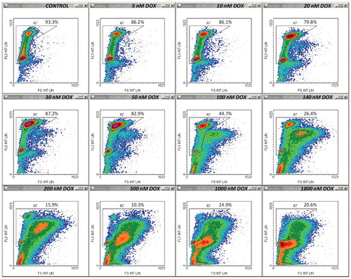 Figure 1. Typical density plots of PI fluorescence (FL3 int lin) versus forward scatter (FS int lin) obtained by propidium iodide flow cytometric analysis of an individual set of twelve samples treated with DOX at indicated doses. Reference cell-cycle region R7 encompassing single-cell events with integer DNA content in the control sample was evenly propagated to all drug-treated samples. The corresponding cell fraction is indicated for each sample. To exclude cellular debris and multi-nucleate events, gates R1-R6 described in Supplementary Material ESM_2 were all set “on”.