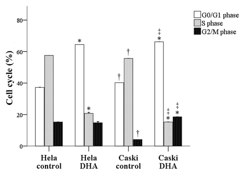 Figure 3. DHA effects on cell cycle profiles of untreated and DHA-treated Hela and Caski cells. *P < 0.05 indicates a significant difference between control and DHA groups for each cell line. †P < 0.05 indicates a significant difference between Hela and Caski control groups. ‡P < 0.05 indicates a significant difference between Hela and Caski DHA groups.