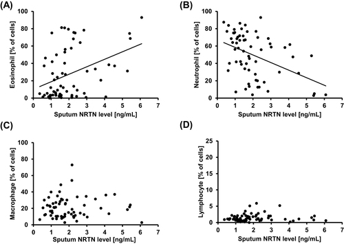 Figure 5 Correlations between sputum NRTN level and sputum eosinophils (A), sputum neutrophils (B), sputum macrophages (C), and sputum lymphocytes (D) in asthmatic subjects.