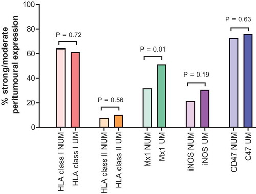 Figure 3. Percentage of strong/moderate peritumoral expression of HLA class I, HLA class 2, Mx1, iNOS and CD47 in primary melanomas.Legend: the colored bars represent the percentage of strong/moderate peritumoral expression per protein.NUM, non-ulcerated melanomas; UM, ulcerated melanomas