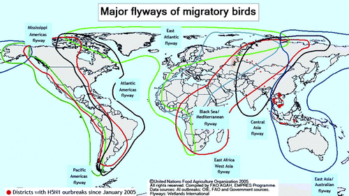 Figure 6.  Map showing the global routes of migratory birds.