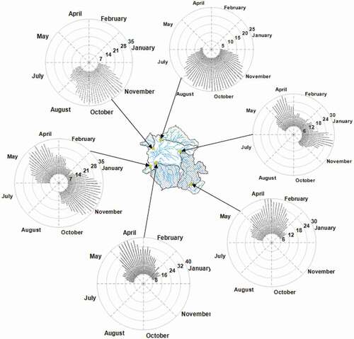 Figure 6. Flood of studied gauging stations demonstrated in radians indicating the flood distribution for a specific location; values are expressed in terms of relative frequency (%).