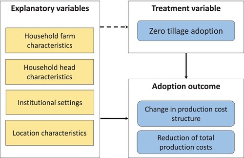 Figure 1. Conceptual framework displaying hypothesized determinants of zero tillage adoption and its economic effects on production costs. Sources: Based on Musafiri et al. (Citation2022).