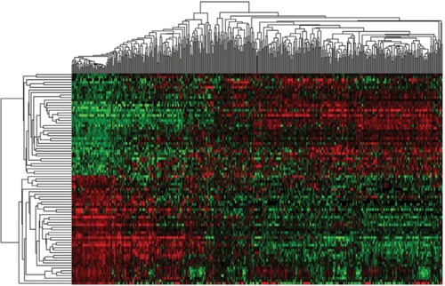 Figure 1 Cluster analysis of consistent differential lncRNA expression.Note: Red indicates that the lncRNA has higher expression level; green indicates that the lncRNA has lower expression.