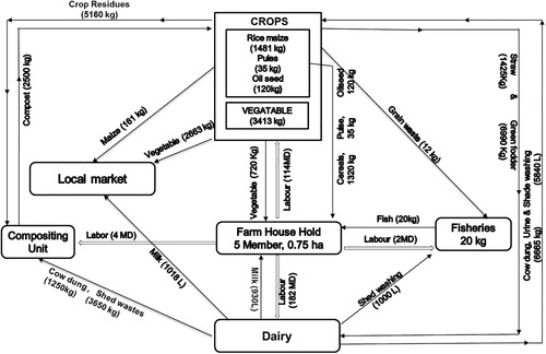 Figure 4. Resource flow between different components of crop-livestock IFS.