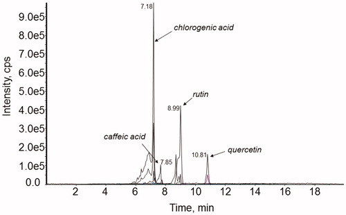 Figure 1. Representative chromatogram of the ethanol leaf extract of S. australis (under conditions described in LC-ESI-MS/MS analyses).