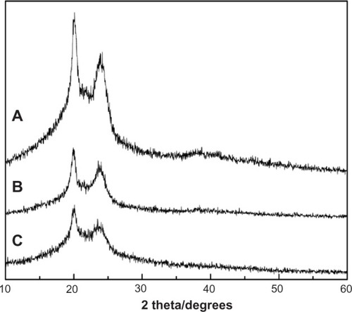 Figure 1 XRD of MAC (A), MAC microsphere (B), and BSA-loaded microspheres (C).Abbreviations: BSA, bovine serum albumin; MAC, multi-(amino acid) copolymer; XRD, X-ray diffraction.