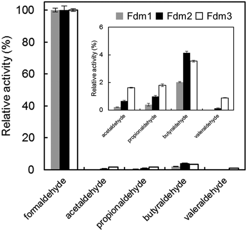 Figure 5. Substrate specificity of Fdm1, Fdm2, and Fdm3 of FD1.