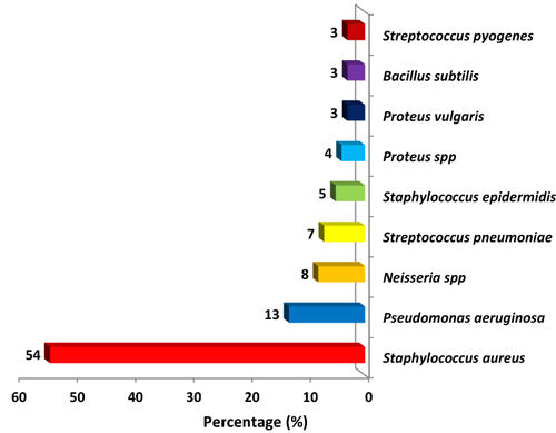 Figure 1 Frequency distribution of different bacterial isolates from ear infection.