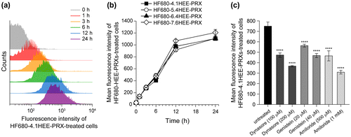 Figure 6. (a) Flow cytometry histograms of normal human skin fibroblasts treated with HF680–4.1HEE-PRX (0.5 mM of β-CD) for various time periods. (b) Time course of the fluorescence intensities of normal human skin fibroblasts treated with HF680-HEE-PRXs (HF680–4.1HEE-PRX: closed squares, HF680–5.4HEE-PRX: open circles, HF680–6.4HEE-PRX: closed triangles, HF680–7.6HEE-PRX: open diamonds) (0.5 mM of β-CD). (c) Effect of endocytosis inhibitors (dynasore for clathrin-mediated endocytosis, genistein for caveolae-mediated endocytosis, and amiloride for macropinocytosis) on the fluorescence intensities of HF680–4.1HEE-PRX-treated normal human skin fibroblasts after 6 h. The data are expressed as the mean ± SD (n = 3) (****p < 0.001 vs. untreated cells).