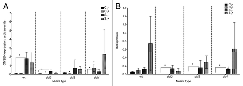 Figure 4. Expression of ONSEN (A) and TSI (B) transposons in F1 progeny of wild type (15D8) and mutant (dcl2, dcl3, and dcl4) plants exposed to heat and control plants. Y-axis shows arbitrary units of gene expression. “C1” – the progeny of plants grown at normal conditions in F0. “S1” – the progeny of plants exposed to heat in F0. “+” and “-” indicate exposure to stress or growth in uninduced conditions, respectively. Bars show standard deviation calculated from 3 technical repeats. Asterisks (*) indicate a significant difference between control (-) and stress (+) with the same parental treatment or between different treatments (C1 vs S1), as calculated using a t test (P ≤ 0.05).