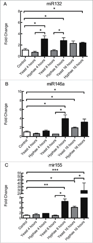 Figure 1. Expression levels of miRNAs in BMDMs exposed to UV-killed C. albicans cells. Expression levels of miR132 (A), miR146a (B), and miR155 (C) in C57Bl/6 BMDMs incubated with C. albicans UV-killed yeasts or hyphae at a MOI of 5. Expression levels were measured by qRT-PCR. Results represent the mean of fold change from 3 independent pooled experiments ± SD. Asterisks indicate p-value; (*) p < 0.05, (**) p < 0.01, (***) p < 0.001, (****) p < 0.0001.