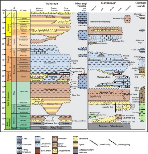 Figure 5 Simplified chronostratigraphic panels for the Wairarapa, Marlborough, Chatham Islands and Hikurangi Plateau areas. These regions surround Pegasus Basin and provide some stratigraphic analogues for the stratigraphy likely to occur in the basin. After Uruski & Bland (Citation2011).