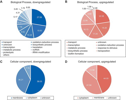 Figure 7. RNA-seq analysis of SdsR-driven changes. Ontology diagram of genes up/downregulated by ectopic expression of SdsR. (a, b) Categories of biological process. (c, d) Cellular components of up/downregulated genes, respectively.