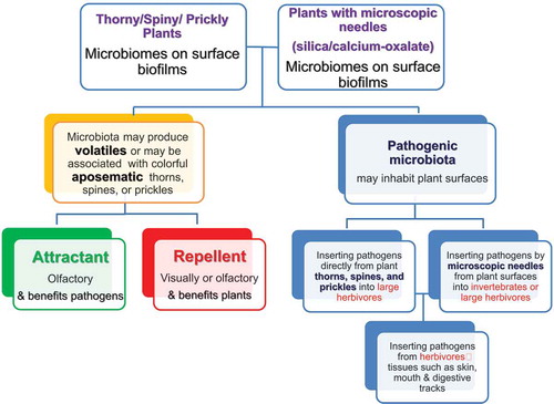 Figure 1. Mutualistic relationship between plants and bacteria: Pathogenic bacterial biofilms may release attractive or repellent molecules to attract or repel herbivores (yellow green and red squares, left side of the diagram) while thorns, spines, prickles or microscopic needles may insert these pathogenic bacteria into herbivores (right side of the diagram)