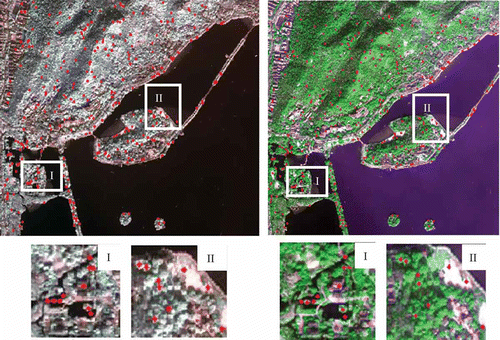 Figure 5. Matching results for two WorldView-II satellite images in Table 2.