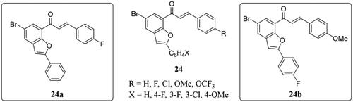 Figure 16. Benzofuran-chalcone compounds of 24.