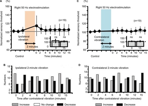 Figure 7 Measurement of the sensory thresholds for the 50-Hz electrostimulation after either ipsilateral or contralateral vibration (2 minutes) in human subjects.