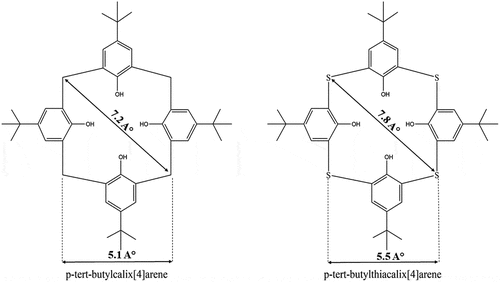 Figure 7. Size cavity comparison between p-tert-butylcalix[4]arene and p-tert-butylthiacalix[4]arene.