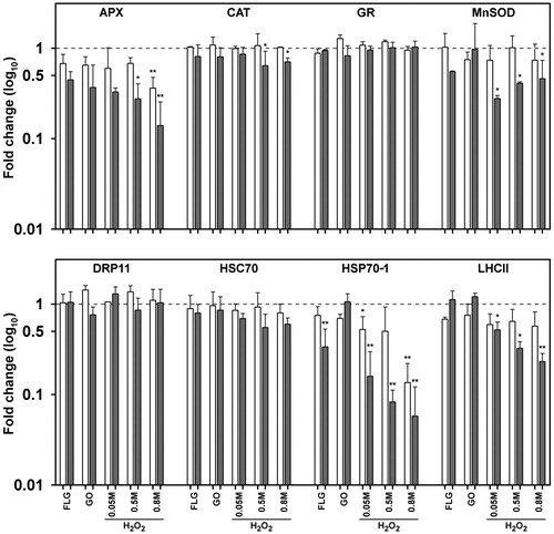 Figure 6. Fold change in the expression of 8 transcripts obtained with qRT-PCR in cultures of Trebouxia gelatinosa treated with H2O2 (0.05 M, 0.5 M and 0.8 M) or GBMs (FLG or GO; 50 μg mL−1) compared to the respective controls (dotted line) after 10 (a) and 30 (b) min of exposure. APX: ascorbate peroxidase; CAT: catalase; GR: gluthatione reductase; Mn-SOD: manganese superoxide dismutase; DRP11: desiccation related proteins 11; HSC70: heat shock cognate 70; HSP70-1: heat shock protein 70 1; LHCII: chlorophyll a-b binding protein of the light harvesting complex II. *p ≤ 0.05, **p ≤ 0.01 (n = 3).