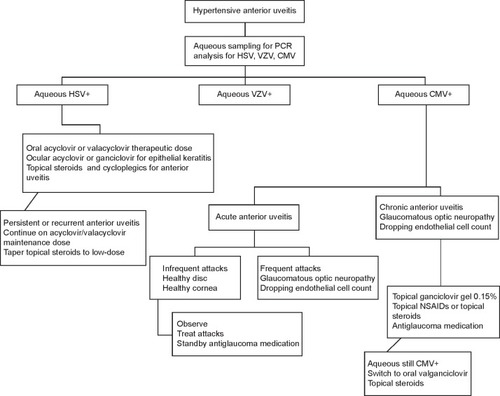 Figure 1 Treatment approach to herpetic anterior uveitis.