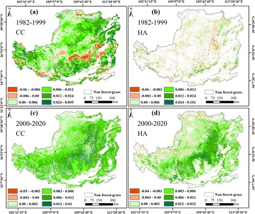 Figure 9. Contributions of climate change (CC) and human activities (HA) to the NDVI of the forest and grassland vegetation from 1982 to 2020 on the Loess Plateau. The regions studied in (a) and (c) are unchanged forest, unchanged shrubland unchanged grassland, unchanged bare land, farmland transformed into forest and grassland, grassland transformed into forest and shrubland, and bare land transformed into forest and grassland, and the regions studied in (b) and (d) are farmland transformed into forest and grassland, grassland transformed into forest and shrubland, and bare land transformed into forest and grassland areas.