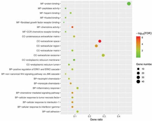 Figure 4. GO enrichment result of DEGs. The x-axis label represents gene ratio and y-axis label represents GO terms. The size of circle represents gene count. Different colour of circles represents different adjusted p value. DEG: differentially expressed gene; FDR: false discovery rate; GO: Gene Ontology.