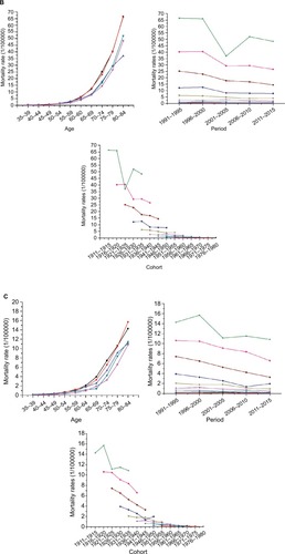 Figure 2 Age, period, and cohort-specific mortality rates for bladder cancer/100,000 population in China.Note: (A) Shows the bladder cancer mortality of total population; (B) shows the bladder cancer mortality of males; and (C) shows the bladder cancer mortality of females.