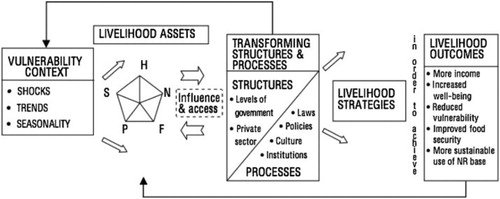 Figure 2. Sustainable Livelihood Framework (Source: DFID (Citation1999)).