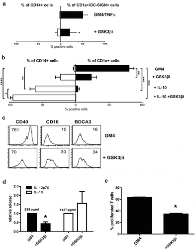 Figure 2. Inhibition of GSK3β hampers the differentiation of MUTZ-3 precursors and monocytes into DC. (a) Overview of the average percentages of CD14+ or CD1a+DC-SIGN+ cells in control MUTZ-DC and MUTZ-DC differentiated in the presence of the GSK3β inhibitor SB 415286 (n = 4), mean ±SD are shown. (b) Overview of the average percentages of CD14+ or CD1a+ cells in control MoDC, MoDC differentiated in the presence of the GSK3β inhibitor, MoDC differentiated with IL-10 or MoDC differentiated with IL-10 plus GSK3β inhibitor (n = 3), mean ±SEM are shown. (c) FACS histograms for the markers CD40, CD16 and BDCA3 on MoDC differentiated in the presence or absence of GSK3β inhibitor. The number listed in the graphs are the mean fluorescence intensities. Results are representative of three different experiments. (d) Secretion of relative IL-12p70 and IL-10 levels by DC treated with or without the GSK3β inhibitor; absolute average IL-12p70 and IL-10 levels in the control MoDC cultures are listed. Shown are mean ± SD from 5 experiments. (e) Overview of the average % of proliferated T cells (CD3+) induced by MoDC cultured in the absence or presence of the GSK3β inhibitor determined by allogeneic MLR. Day-6 results shown are from 3 experiments (n = 3); ratio peripheral blood lymphocytes to DC was 10:1. Significance shown as * = P < .05, ** = P < .01 and *** P < .001.