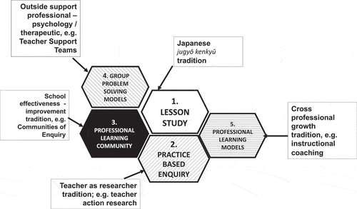 Figure 2. Family of professional models and their contexts.