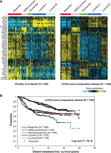 Figure 1 Luminal B breast cancer is associated with substantially worse patient outcomes. (A) Expression patterns of the PAM50 gene setCitation13 (41 genes represented on the U133A array platform) in the mRNA profile datasets from Hoadley et al,Citation14 (N = 247) and Kessler et al.Citation26 U133A compendium (N = 1340, representing nine separate studies). Using the PAM50 genes and the Hoadley subtype assignments, inter-profile correlations between the Hoadley and Kessler datasets were used to assign mRNA-based subtypes (basal-like, HER2-enriched, normal-like, luminal A, luminal B) to the Kessler profiles. (B) Kaplan–Meier plot of distant metastasis-free survivals for the mRNA-based subtypes. Survival capped at 20 years.