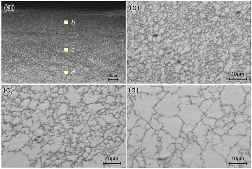 Figure 8. Microstructure in (a) the rectangular box in Figure 5(b) and typical microstructure in (b) zone-b, (c) zone-c and (d) zone-d.