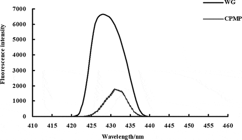 Figure 3. Fluorescence spectra of WG and CPMP