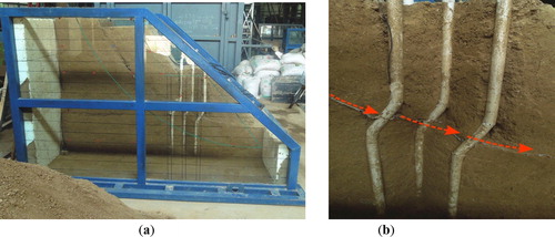 Figure 14. Photographs of the damaged micropiles-reinforced landslide and micropiles: (a) profile of the damaged reinforced landslide; (b) the damaged micropile.