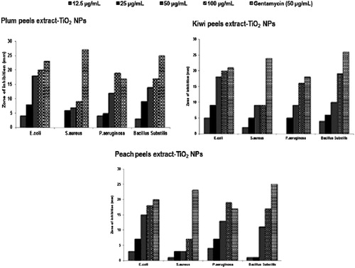 Figure 5. Antibacterial activities of TiO2 NPs synthesized using peels extract of Plum, Kiwi and Peach against E.coli, S. aureus, P. aerugenosa and Bacillus Subtilis.