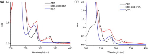 Figure 3. UV-Vis spectra of hapten and hapten-protein conjugation. (a) confirmation of immunogen (CRZ-EDC–BSA) and (b) confirmation of coating antigen (CRZ-CDI–OVA).