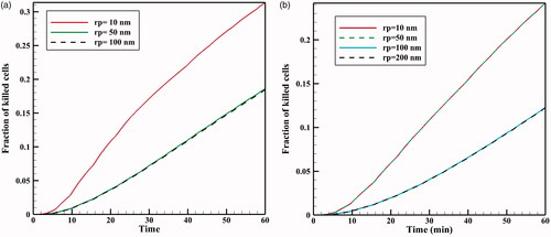 Figure 15. FK as a function of time for different vessel wall pore sizes: (a) 20 nm TSL and (b) 100 nm TSL.