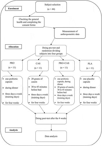 Figure 2. Flowchart illustrating the different phases of the research and study selection.